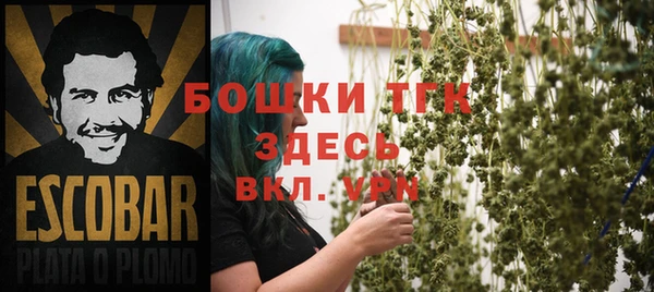 твердый Дмитриев