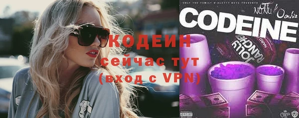 хмурый Дмитровск
