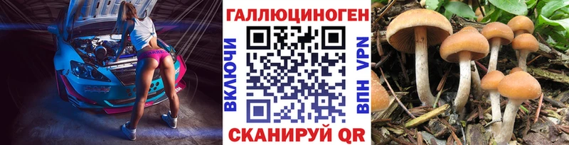 Псилоцибиновые грибы мицелий  купить наркоту  Ефремов 