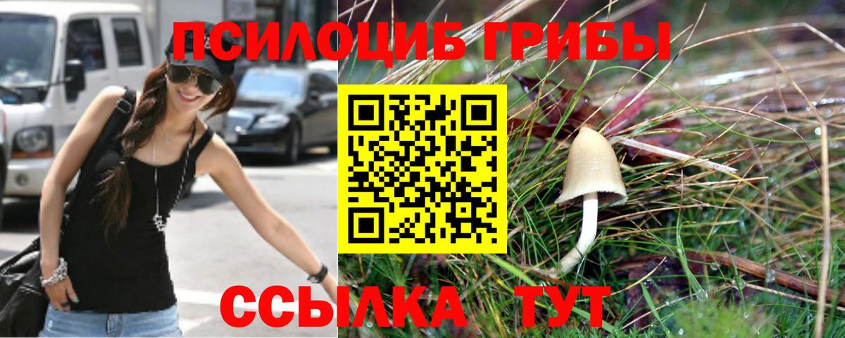 Псилоцибиновые грибы мухоморы  Вход с VPN  Ефремов 